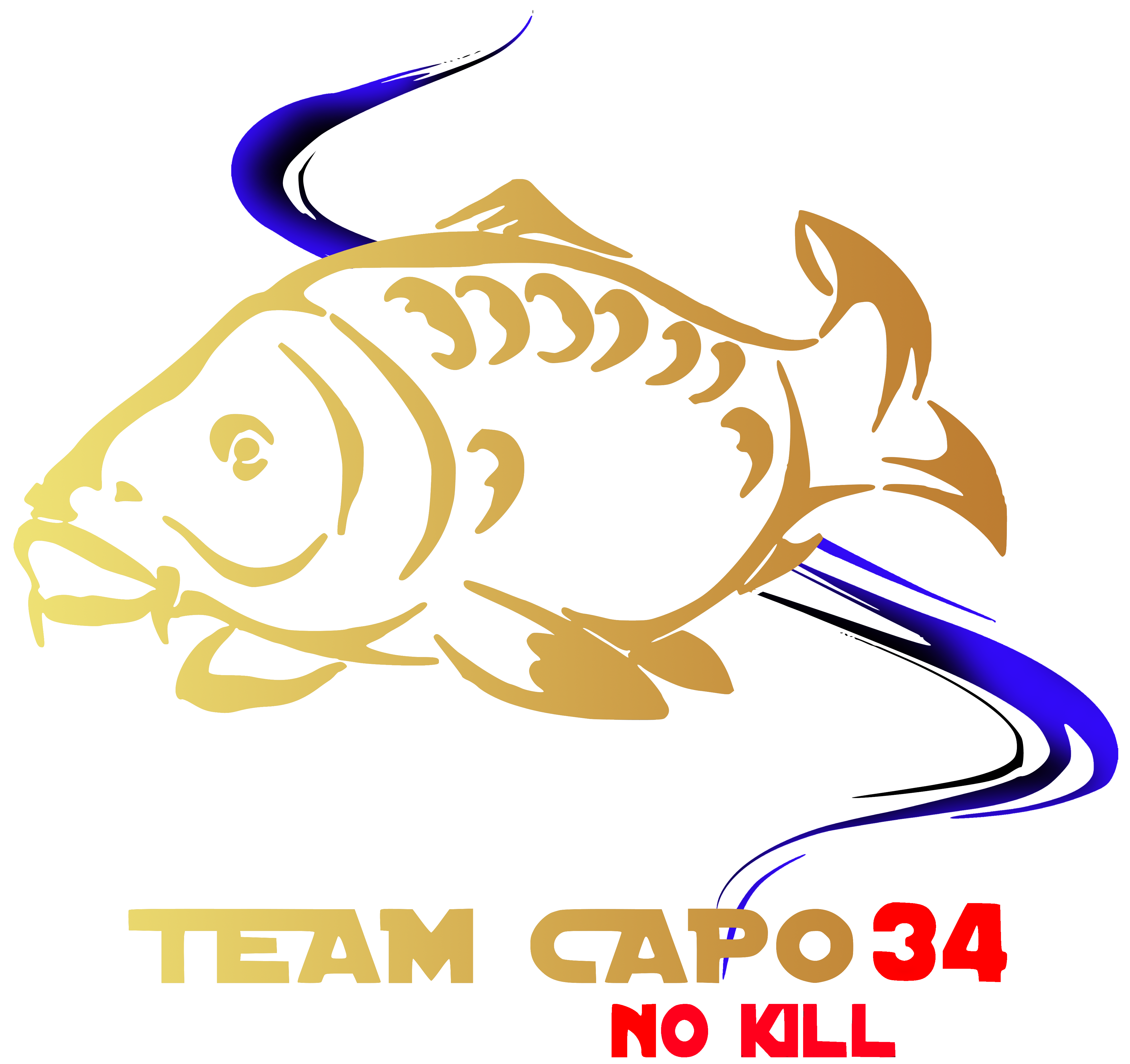 Teamcapo34